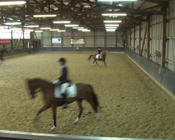 Reitturnier Grefrath - Reitanlage Heitzerend 2015