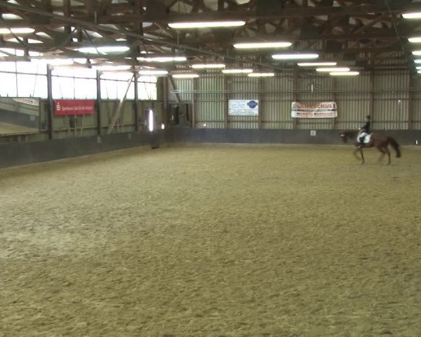 Reitturnier Grefrath - Reitanlage Heitzerend 2015