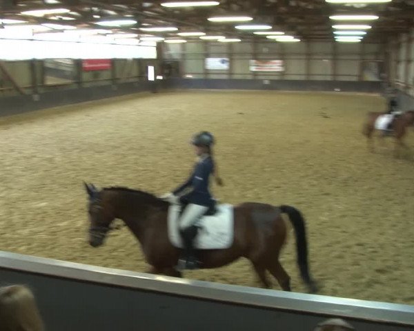 Reitturnier Grefrath - Reitanlage Heitzerend 2015