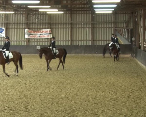 Reitturnier Grefrath - Reitanlage Heitzerend 2015