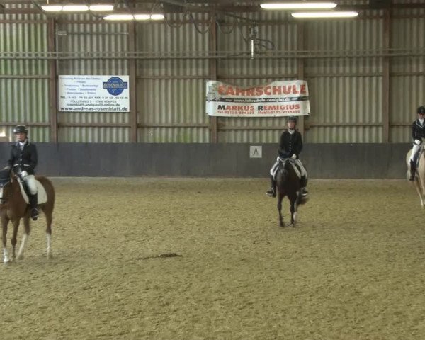 Reitturnier Grefrath - Reitanlage Heitzerend 2015