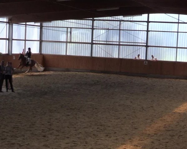 Reitturnier Herbern 2015