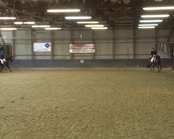 Reitturnier Grefrath - Reitanlage Heitzerend 2015