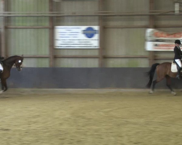 Reitturnier Grefrath - Reitanlage Heitzerend 2015