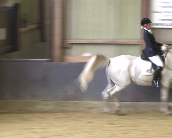 Reitturnier Grefrath - Reitanlage Heitzerend 2015