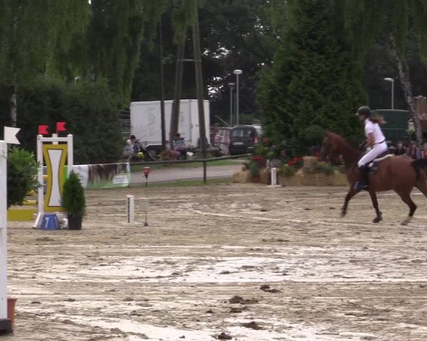 Reitturnier Herbern 2015