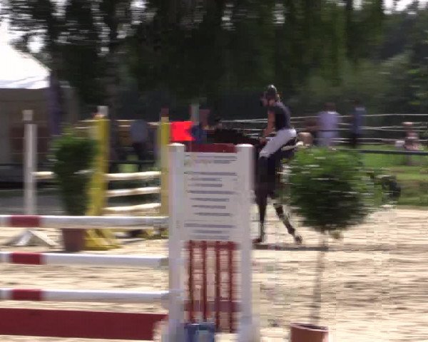 Reitturnier Herbern 2015