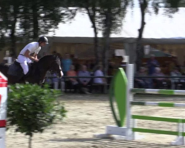 Reitturnier Herbern 2015