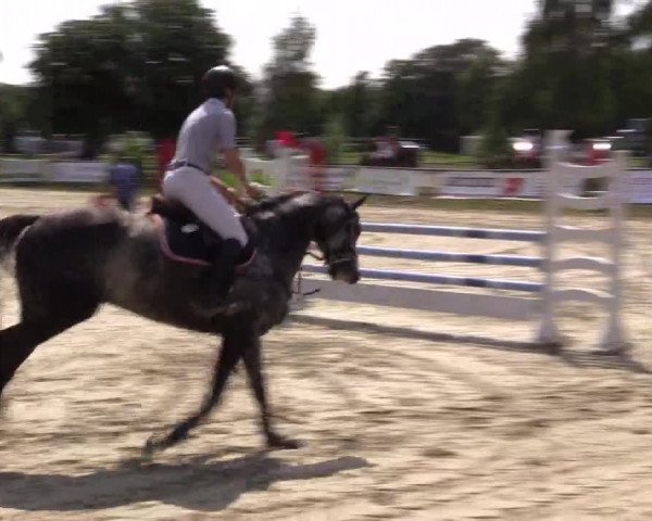 Reitturnier Herbern 2015
