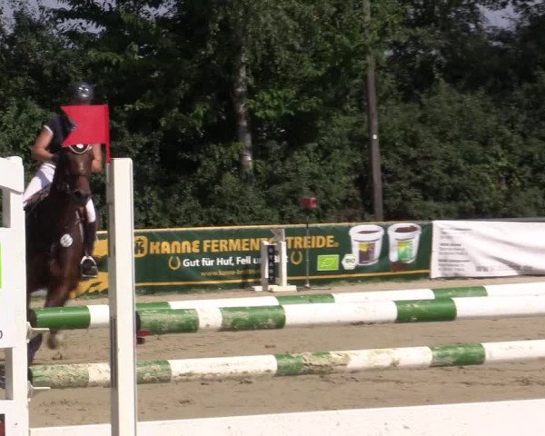 Reitturnier Herbern 2015
