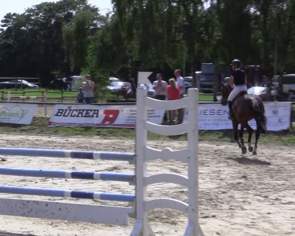 Reitturnier Herbern 2015