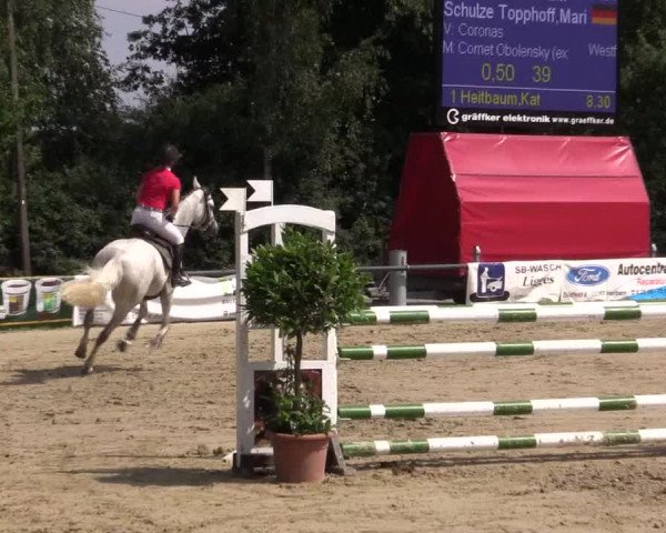 Reitturnier Herbern 2015
