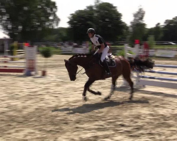Reitturnier Herbern 2015