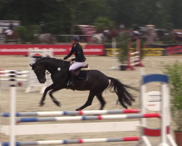 Euregioturnier Wietmarschen 2015