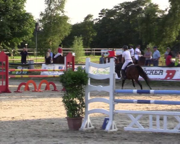 Reitturnier Herbern 2015