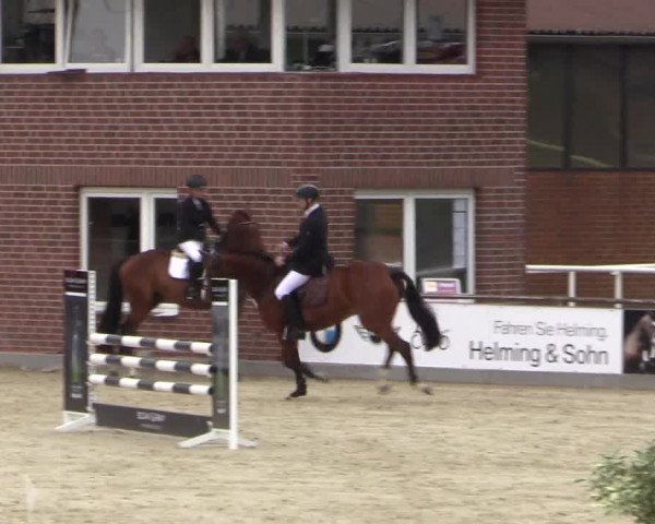 Euregioturnier Wietmarschen 2015