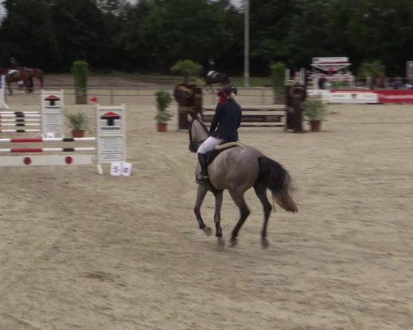 Euregioturnier Wietmarschen 2015