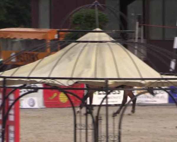 Euregioturnier Wietmarschen 2015