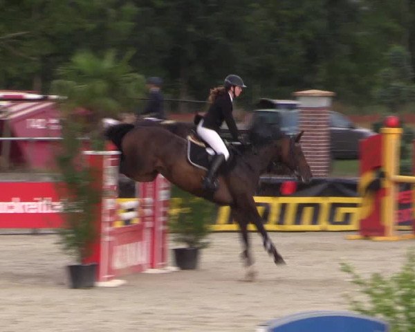 Euregioturnier Wietmarschen 2015