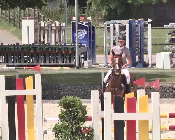 Reitturnier Ingolstadt-Hagau 2015