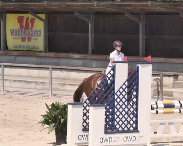Reitturnier Ingolstadt-Hagau 2015