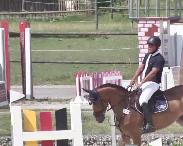 Reitturnier Ingolstadt-Hagau 2015