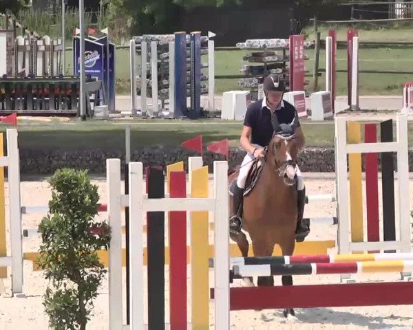 Reitturnier Ingolstadt-Hagau 2015