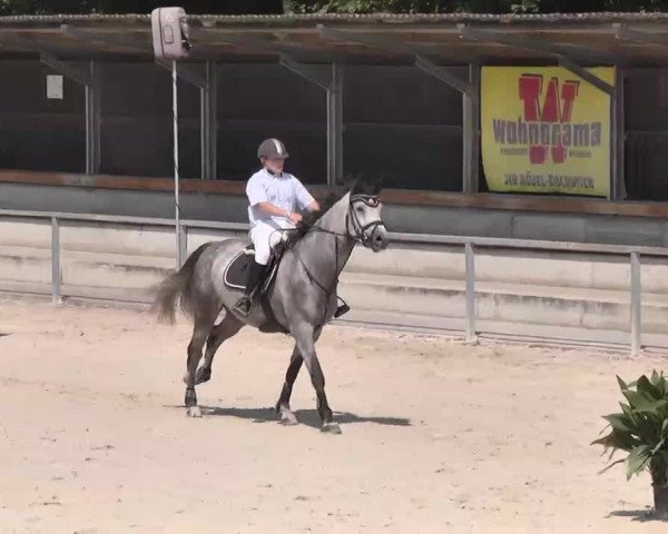 Reitturnier Ingolstadt-Hagau 2015