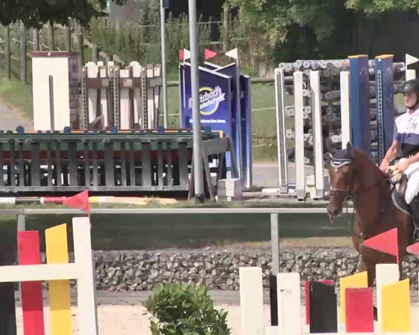 Reitturnier Ingolstadt-Hagau 2015
