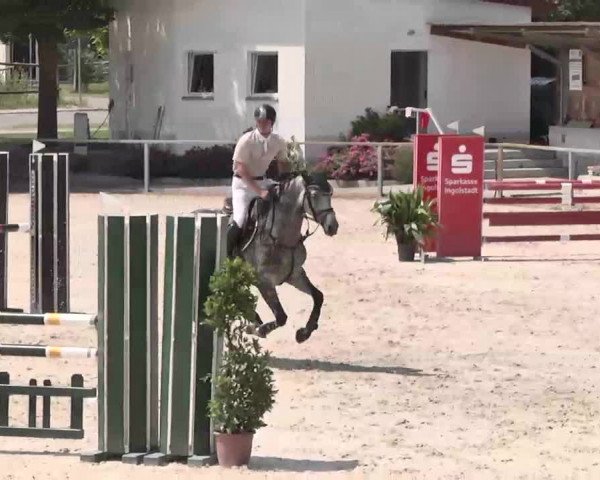 Reitturnier Ingolstadt-Hagau 2015