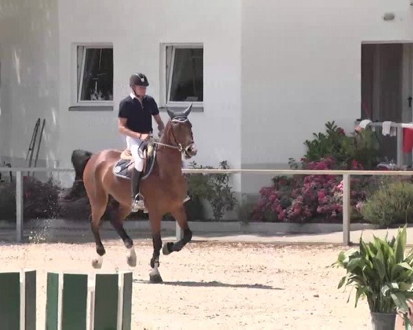 Reitturnier Ingolstadt-Hagau 2015