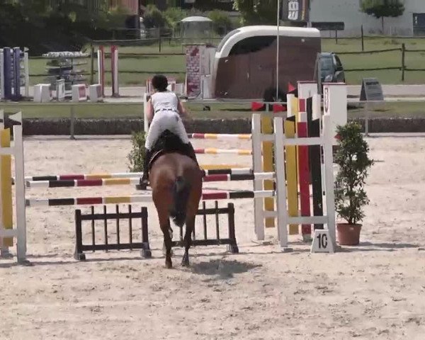 Reitturnier Ingolstadt-Hagau 2015