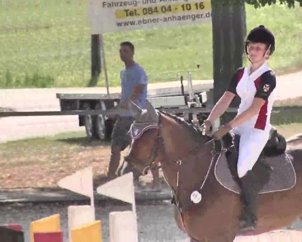 Reitturnier Ingolstadt-Hagau 2015