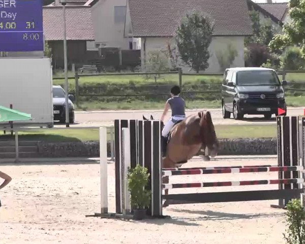 Reitturnier Ingolstadt-Hagau 2015