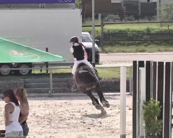 Reitturnier Ingolstadt-Hagau 2015