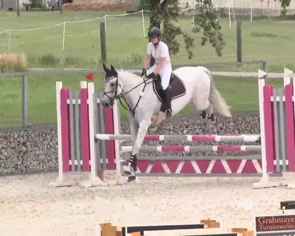 Reitturnier Ingolstadt-Hagau 2015