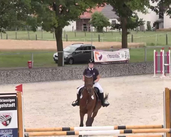 Reitturnier Ingolstadt-Hagau 2015