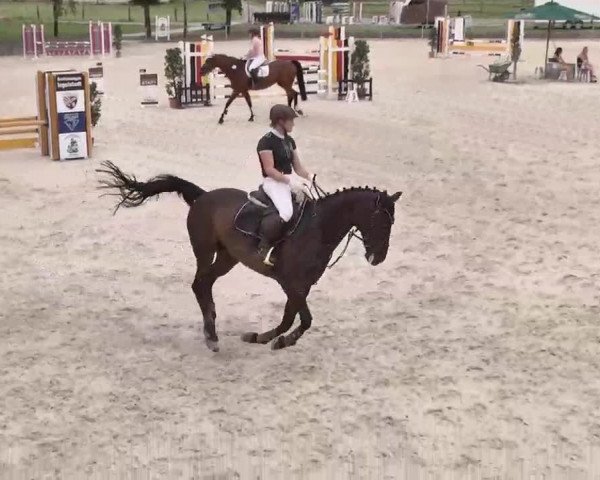 Reitturnier Ingolstadt-Hagau 2015