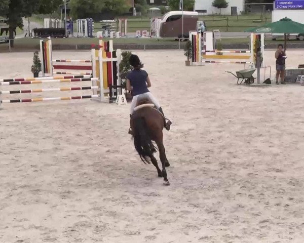 Reitturnier Ingolstadt-Hagau 2015