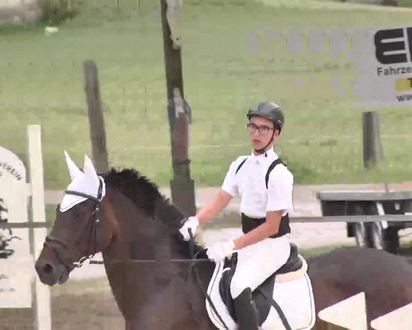 Reitturnier Ingolstadt-Hagau 2015