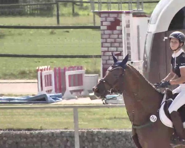 Reitturnier Ingolstadt-Hagau 2015