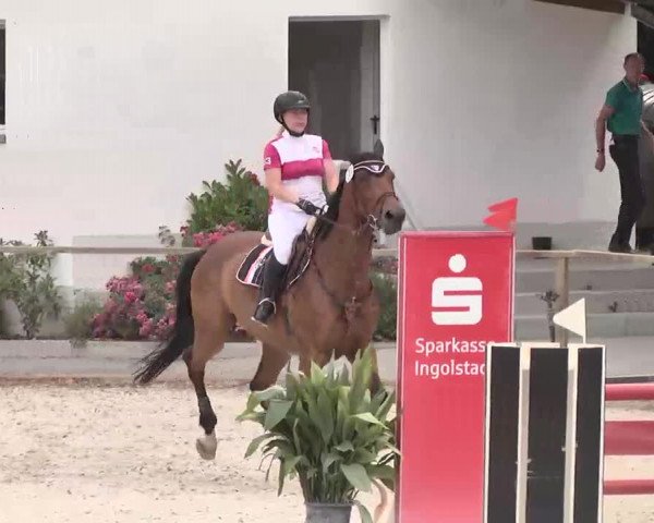 Reitturnier Ingolstadt-Hagau 2015