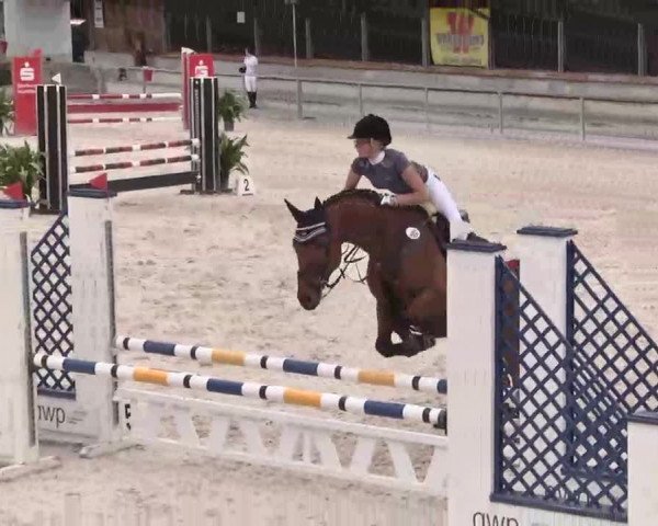 Reitturnier Ingolstadt-Hagau 2015