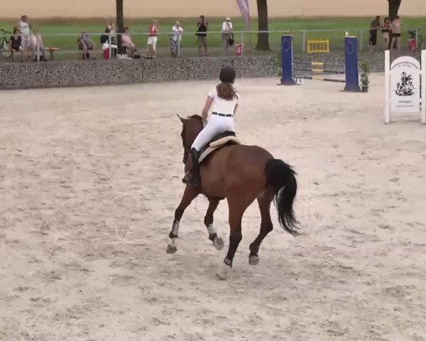 Reitturnier Ingolstadt-Hagau 2015