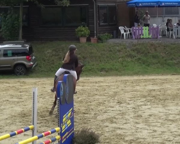Reitturnier Viersen-Dülken 2015