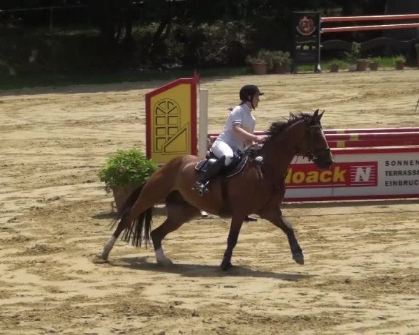 Reitturnier Viersen-Dülken 2015