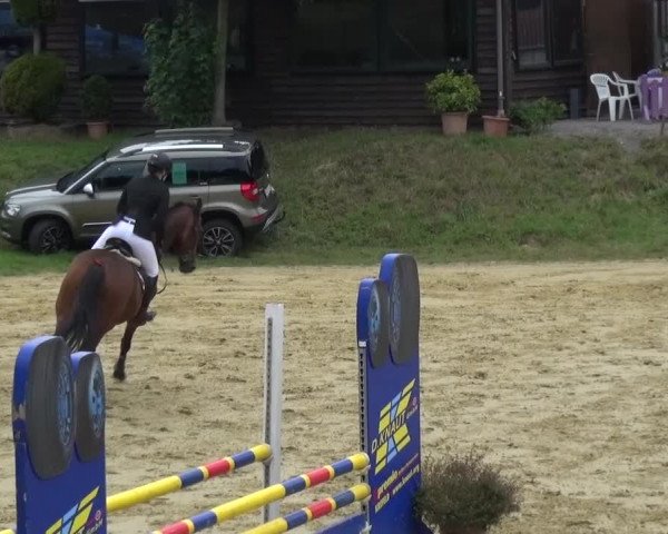 Reitturnier Viersen-Dülken 2015