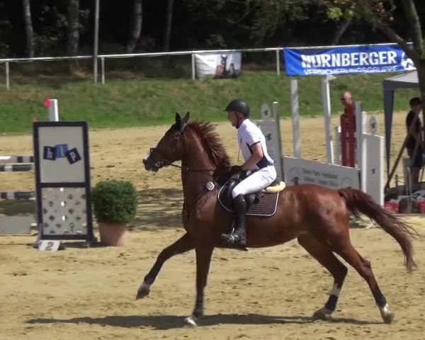 Reitturnier Viersen-Dülken 2015