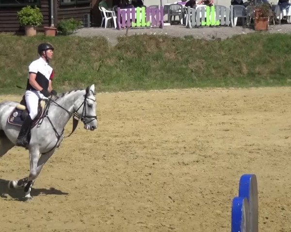 Reitturnier Viersen-Dülken 2015