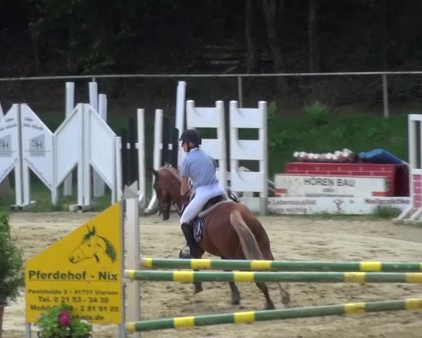 Reitturnier Viersen-Dülken 2015
